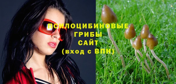 герыч Алексин
