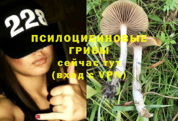Альфа ПВП Алзамай