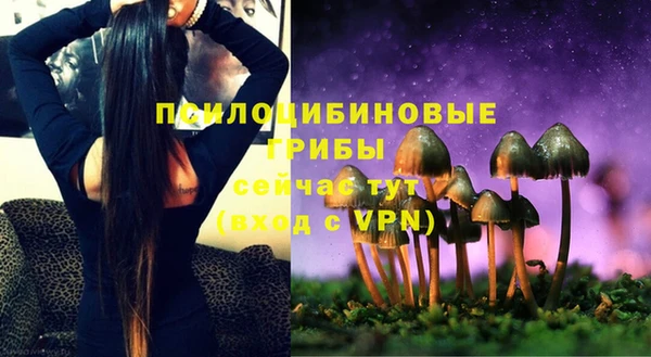 винт Алексеевка