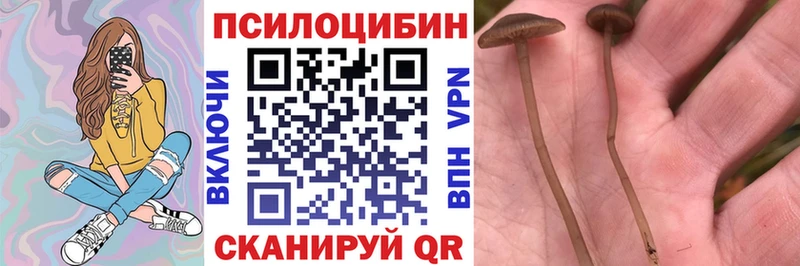 Галлюциногенные грибы мицелий  закладки  Краснокамск 