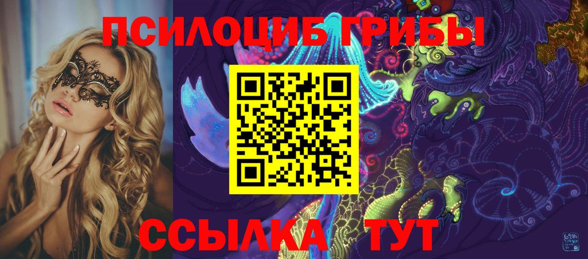 Краснокамск  Псилоцибиновые грибы мицелий  Вход с VPN 