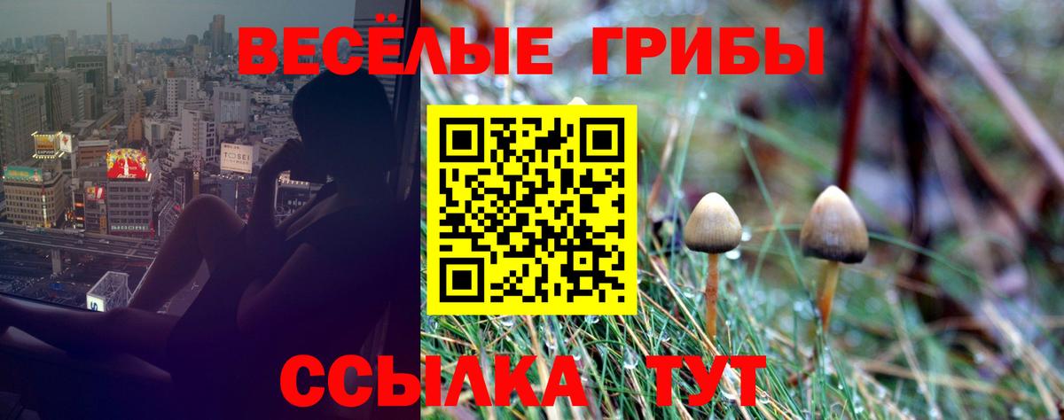 Псилоцибиновые грибы GOLDEN TEACHER Краснокамск